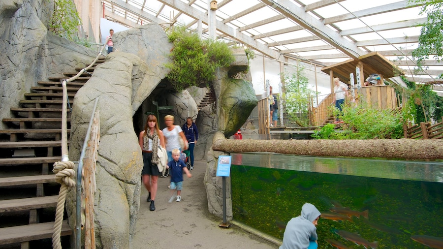 Universeum showing interior views and marine life as well as a small group of people
