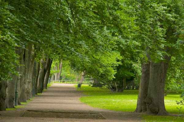 Castle Park which includes a garden