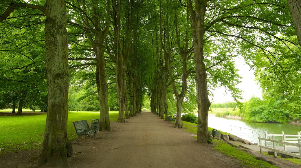 Slottsparken que incluye un jardín y un río o arroyo