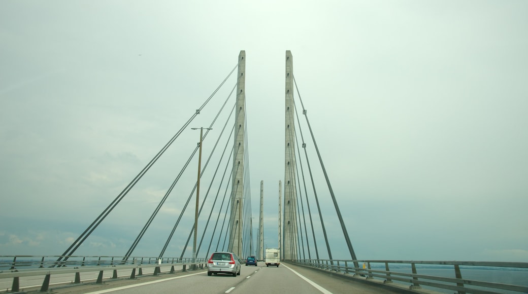 Puente de Oresund mostrando escenas urbanas y un puente colgante o pasarela en las copas de los árboles