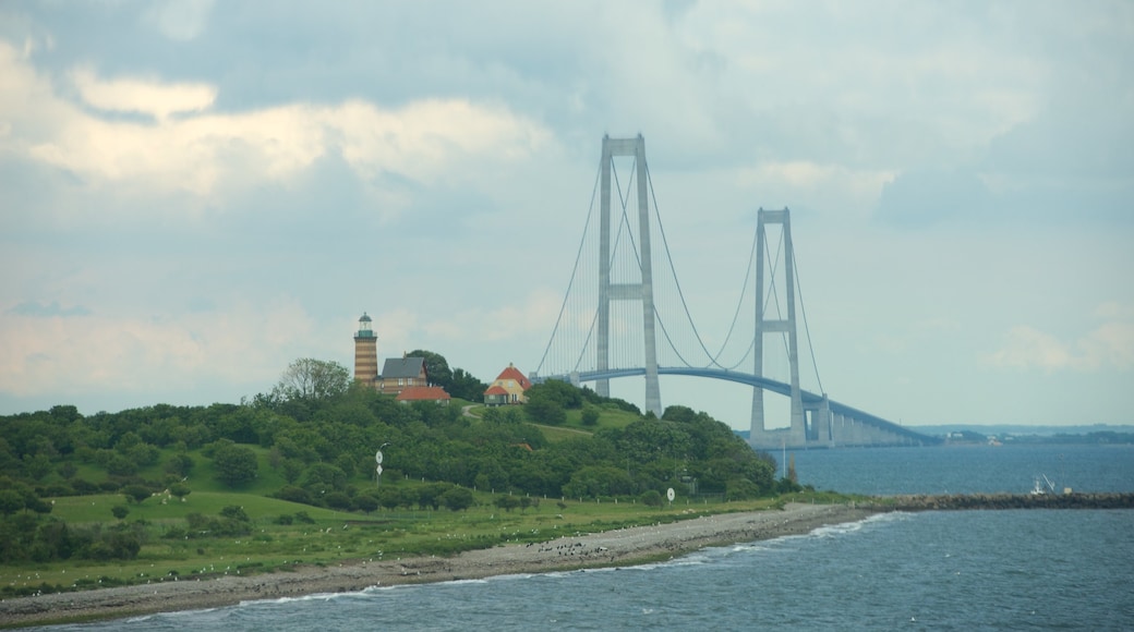 Oresund Bridge which includes a suspension bridge or treetop walkway and general coastal views