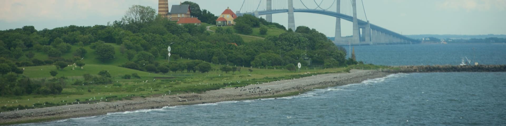 オーレスン リンク フィーチャー 海岸線の眺め と 吊り橋あるいはツリートップの散歩道