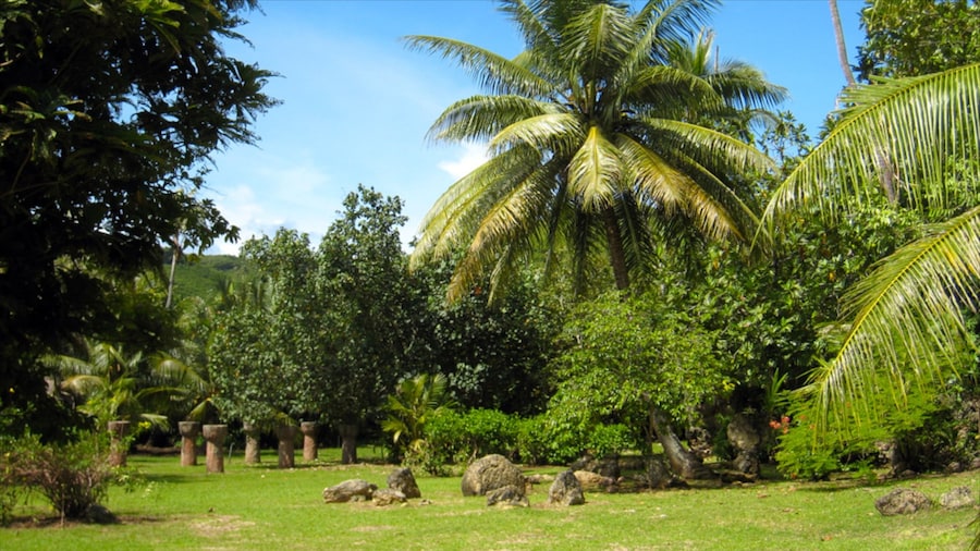 Latte Stone Park featuring a park