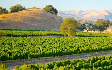 Top house rentals in Santa Maria California Vrbo