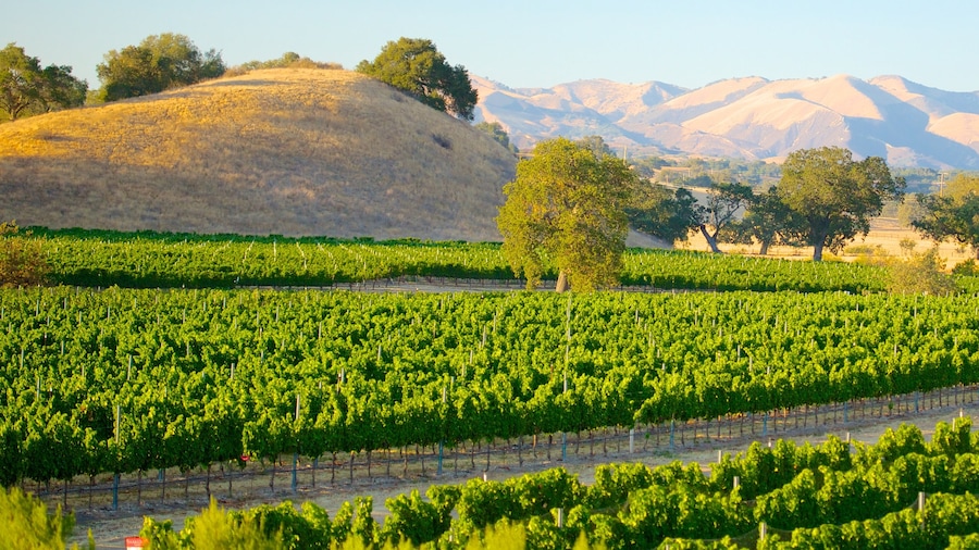 Santa Barbara Wine Country showing farmland