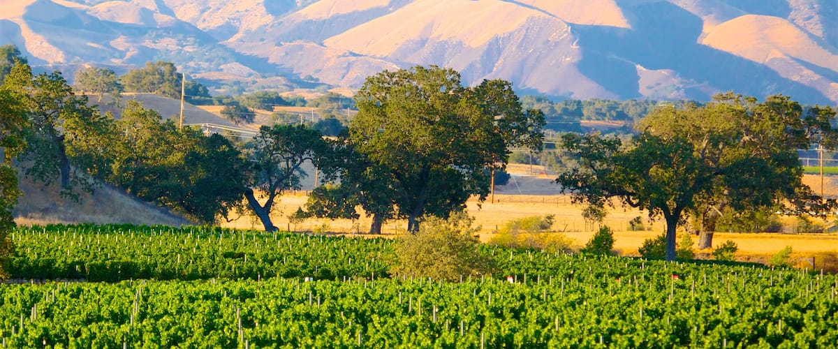 Central California showing mountains, tranquil scenes and farmland
