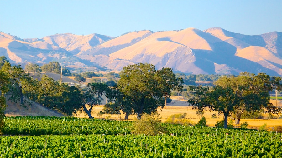 Centro de California que incluye escenas tranquilas, montañas y vista panorámica