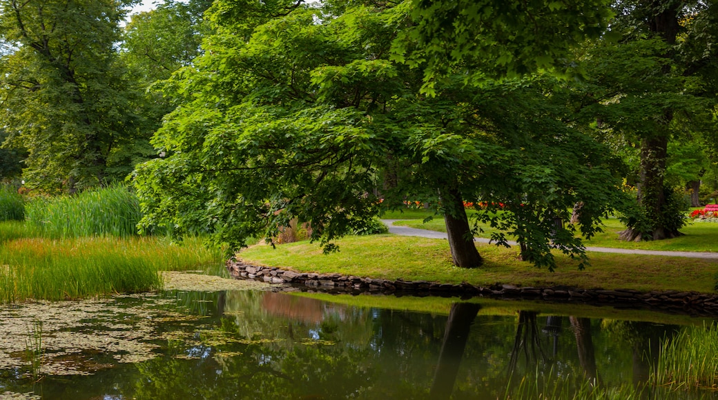 Halifax Public Gardens featuring a pond and a park