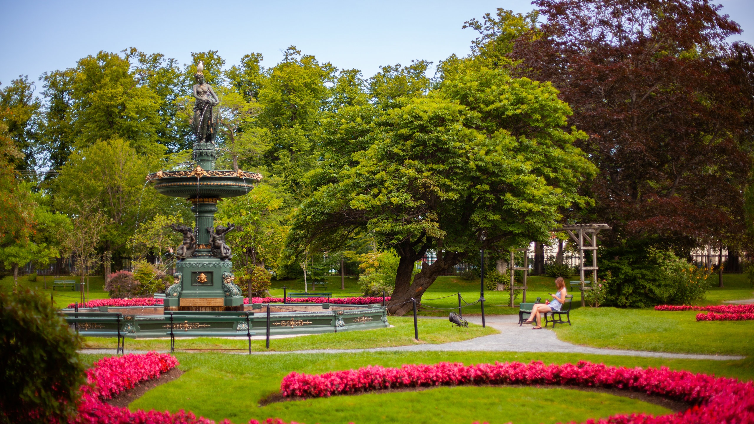 Jardines públicos Halifax ofreciendo un parque, arte al aire libre y una fuente