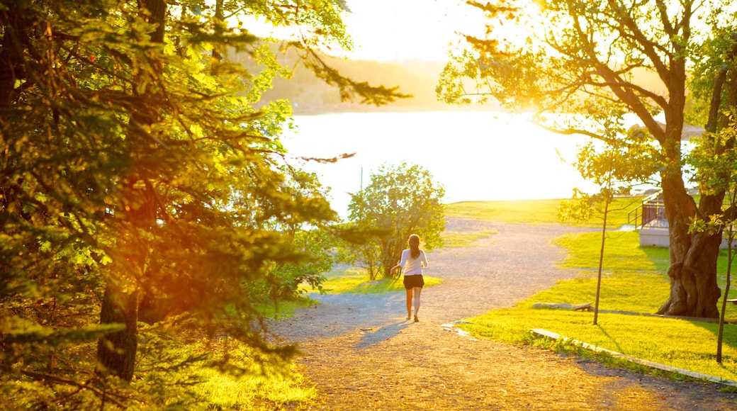 Point Pleasant Park which includes a garden, tranquil scenes and hiking or walking