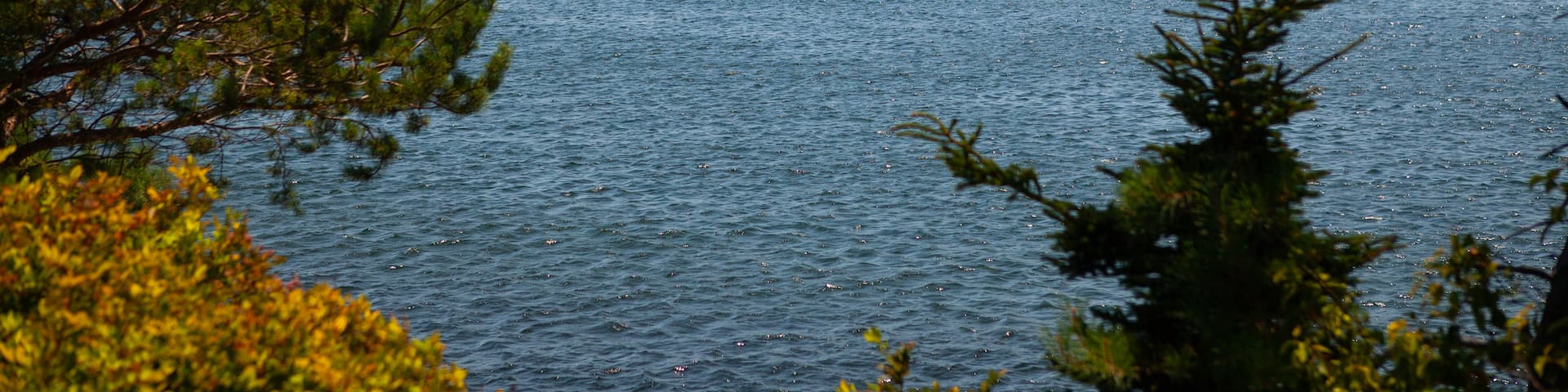 Point Pleasant Park which includes a park, general coastal views and landscape views