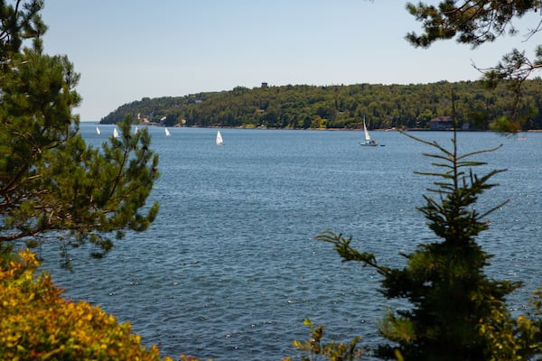 Point Pleasant Park which includes a garden, landscape views and general coastal views
