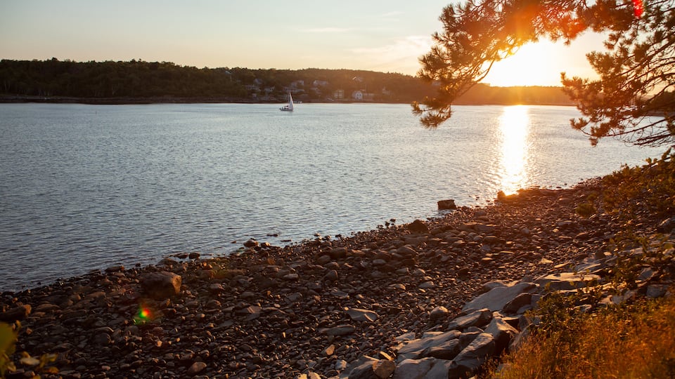 Point Pleasant Park ofreciendo una puesta de sol, una playa de guijarros y vistas de paisajes
