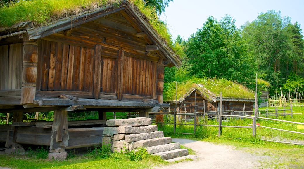 Oslo som viser hus