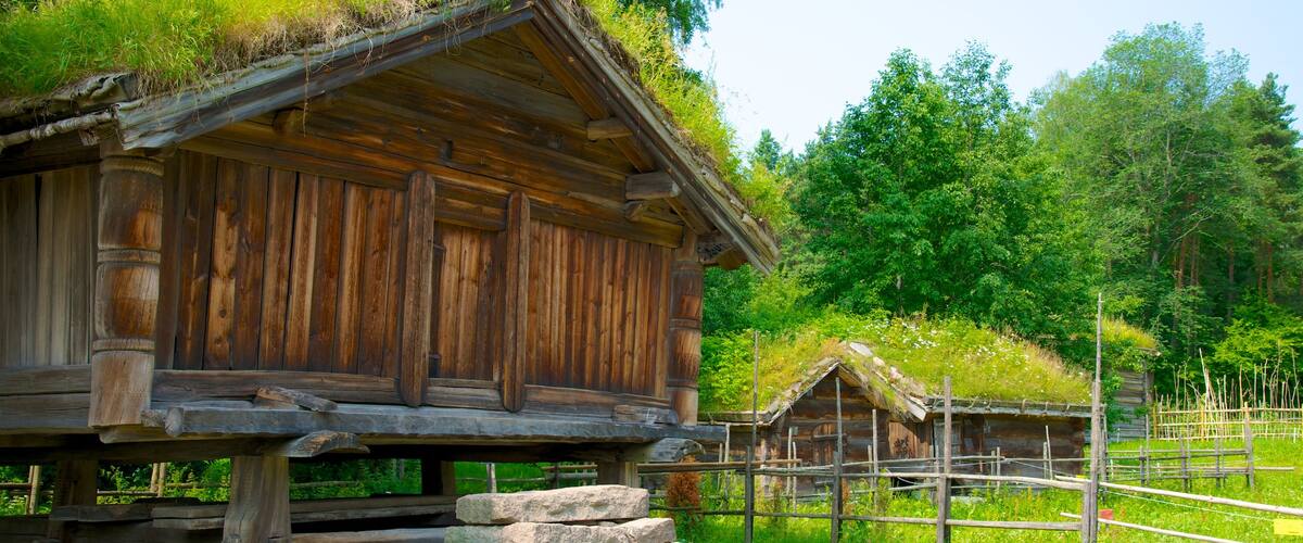 Oslo ofreciendo una casa
