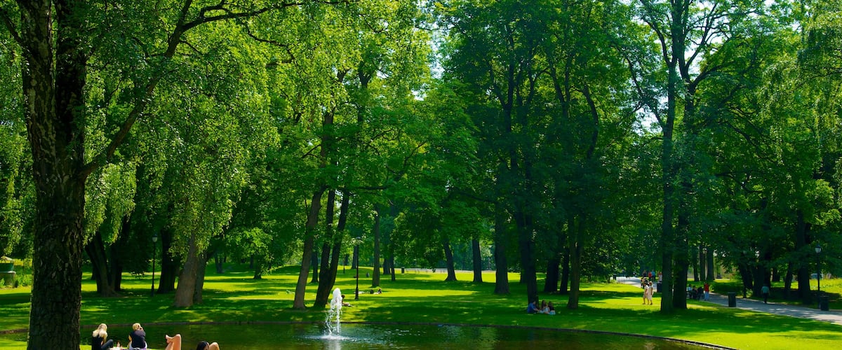Palace Park which includes picnicking, a pond and a park