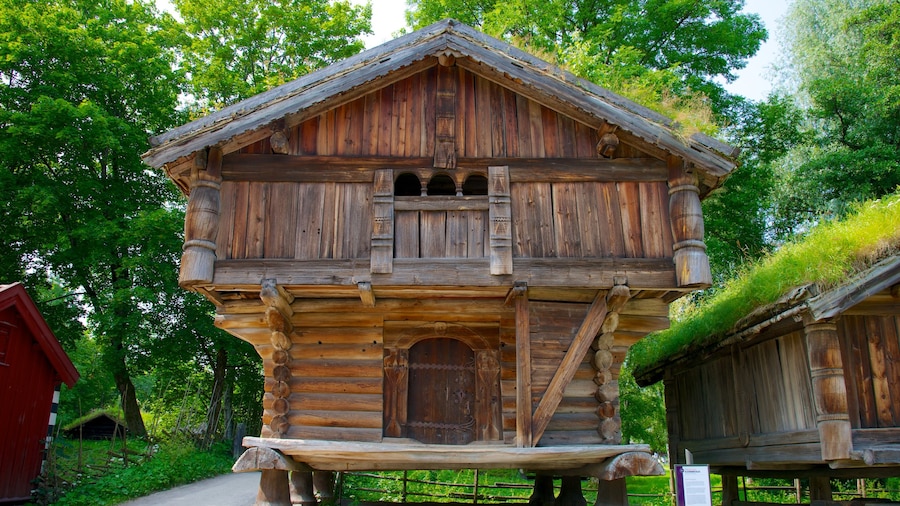 Museo norvegese di storia culturale