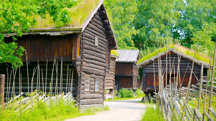 Norwegian Museum of Cultural History