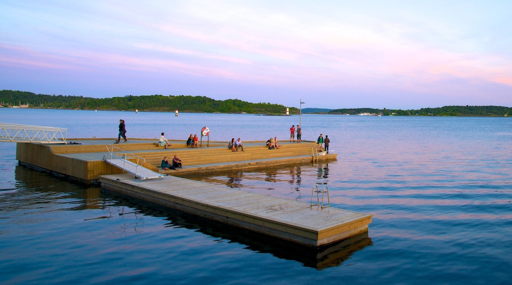 Oslo showing general coastal views and views