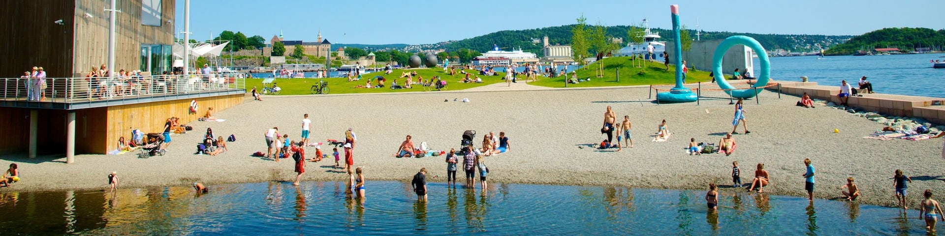 Oslo showing a park, a coastal town and a sandy beach