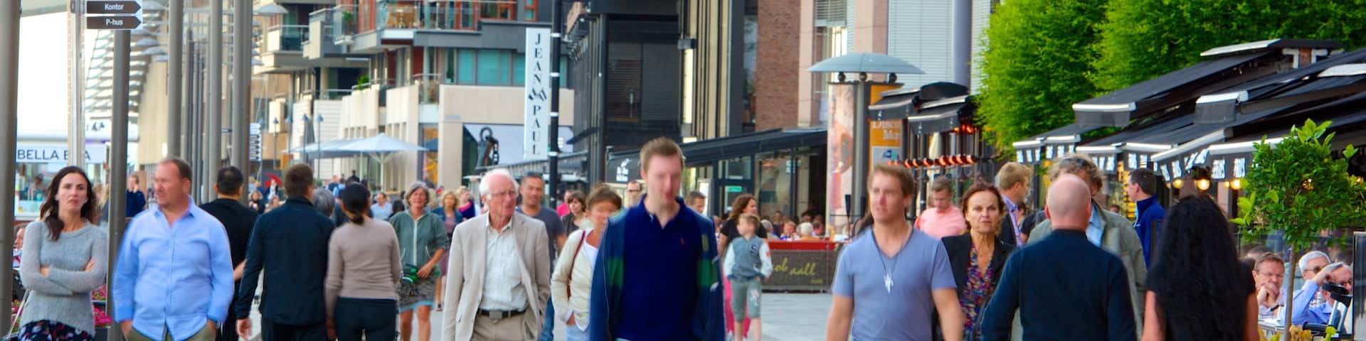 Aker Brygge which includes a city and street scenes as well as a large group of people