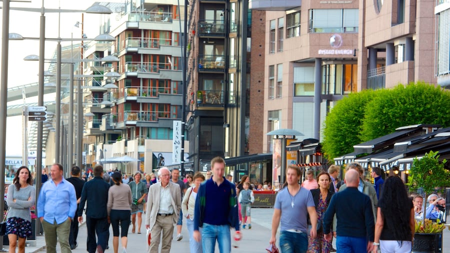 Aker Brygge montrant scènes de rue et ville aussi bien que important groupe de personnes