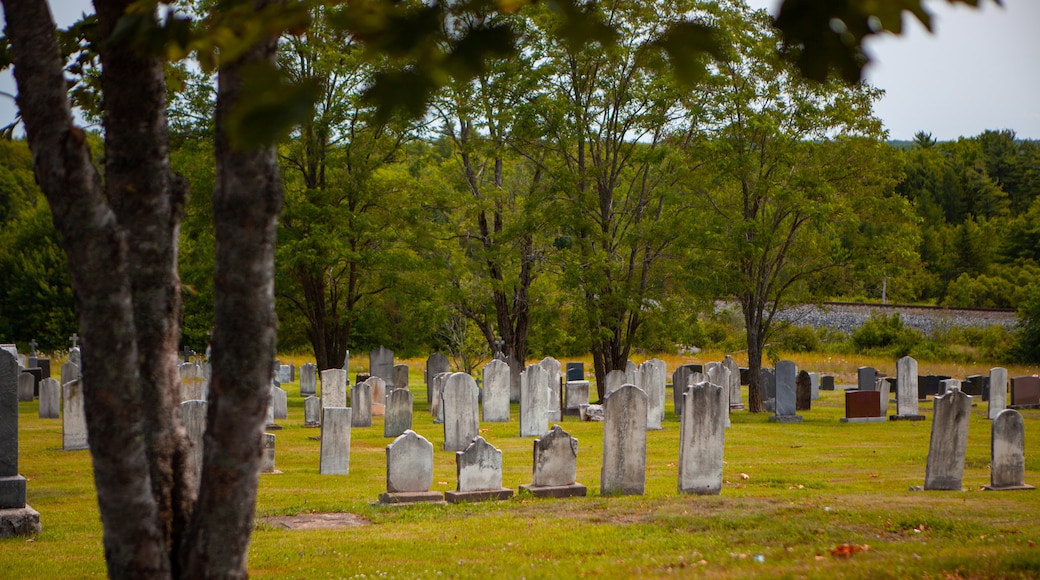 Enfield showing a cemetery