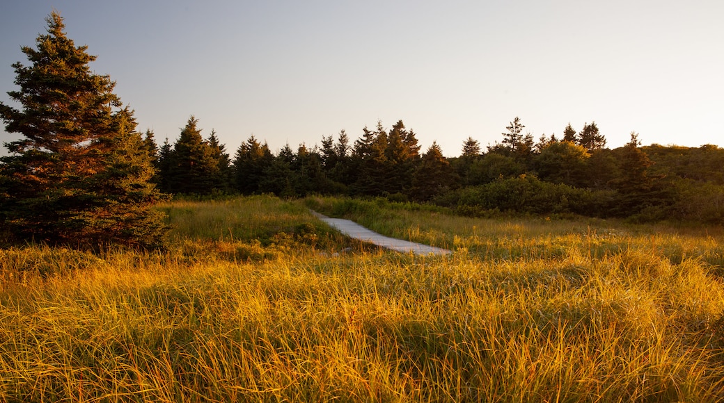 Crystal Crescent Beach which includes tranquil scenes and a sunset