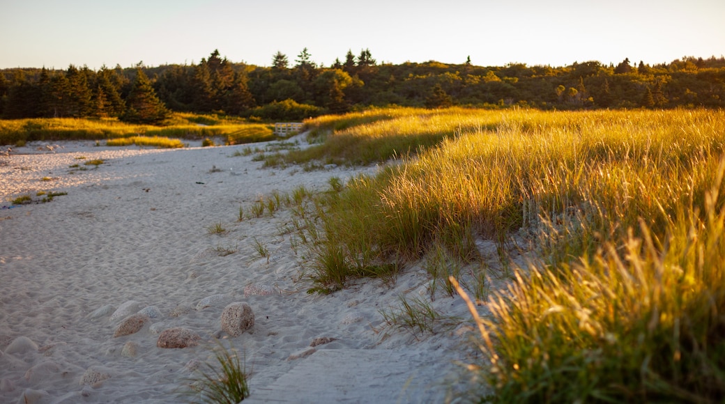 Crystal Crescent Beach showing a sunset and a sandy beach