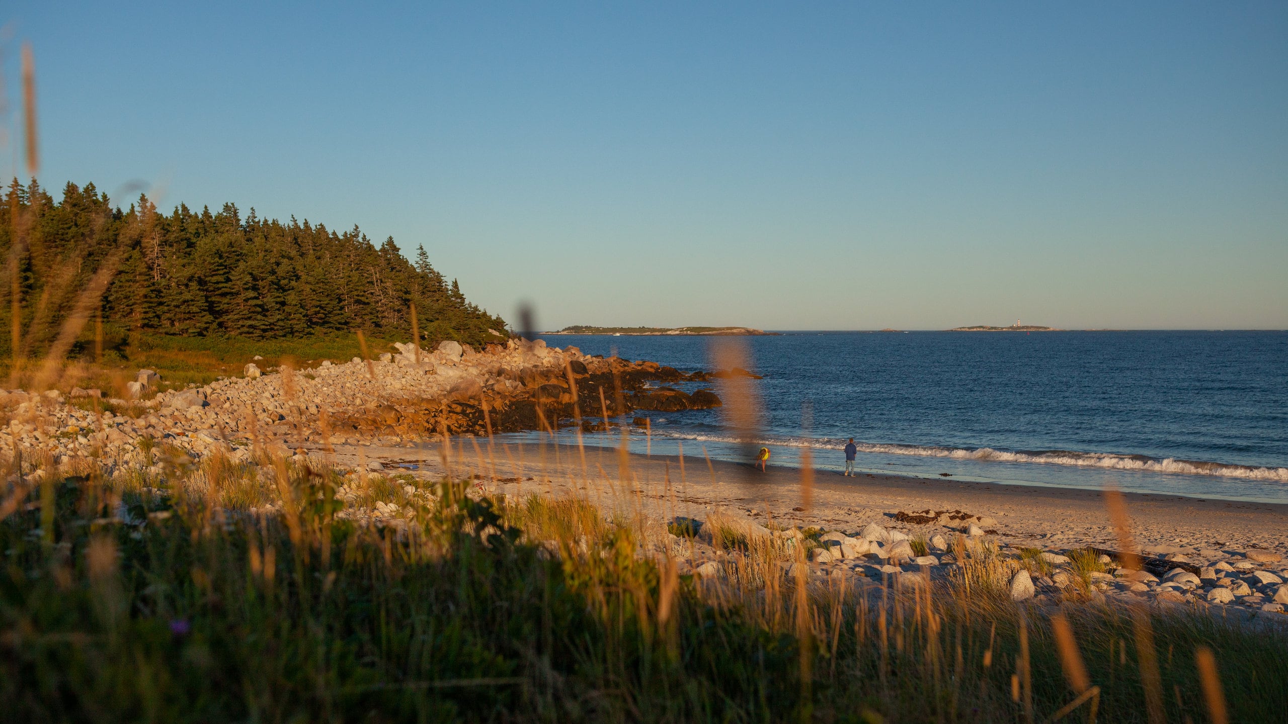 Crystal Crescent Beach in Sambro Creek Tours and Activities Expedia.ca