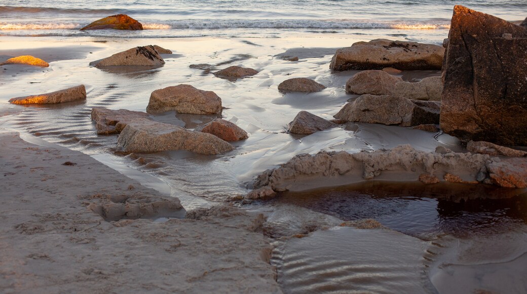 Sambro Creek