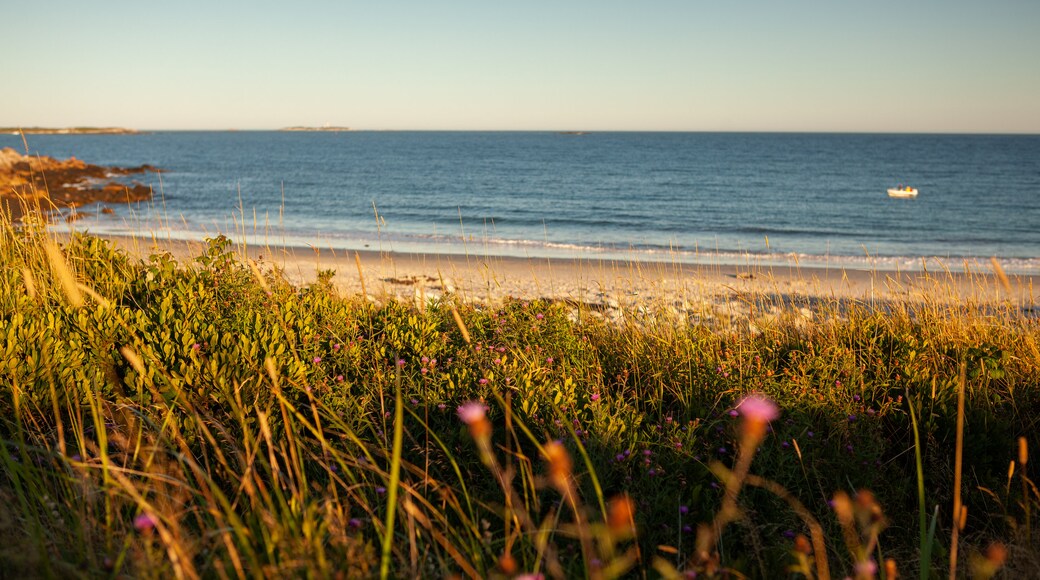 Sambro Creek