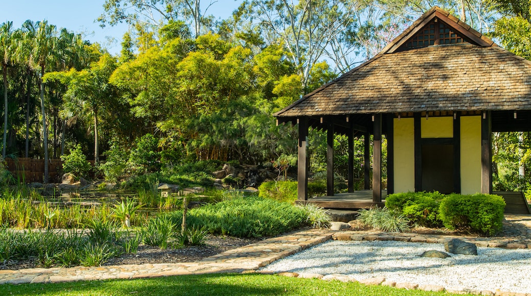 Tondoon Botanic Gardens featuring a park