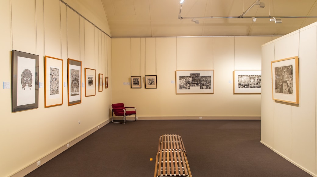 Gladstone Art Gallery and Museum showing art and interior views