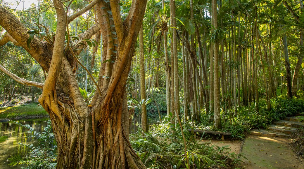 Tondoon Botanic Gardens