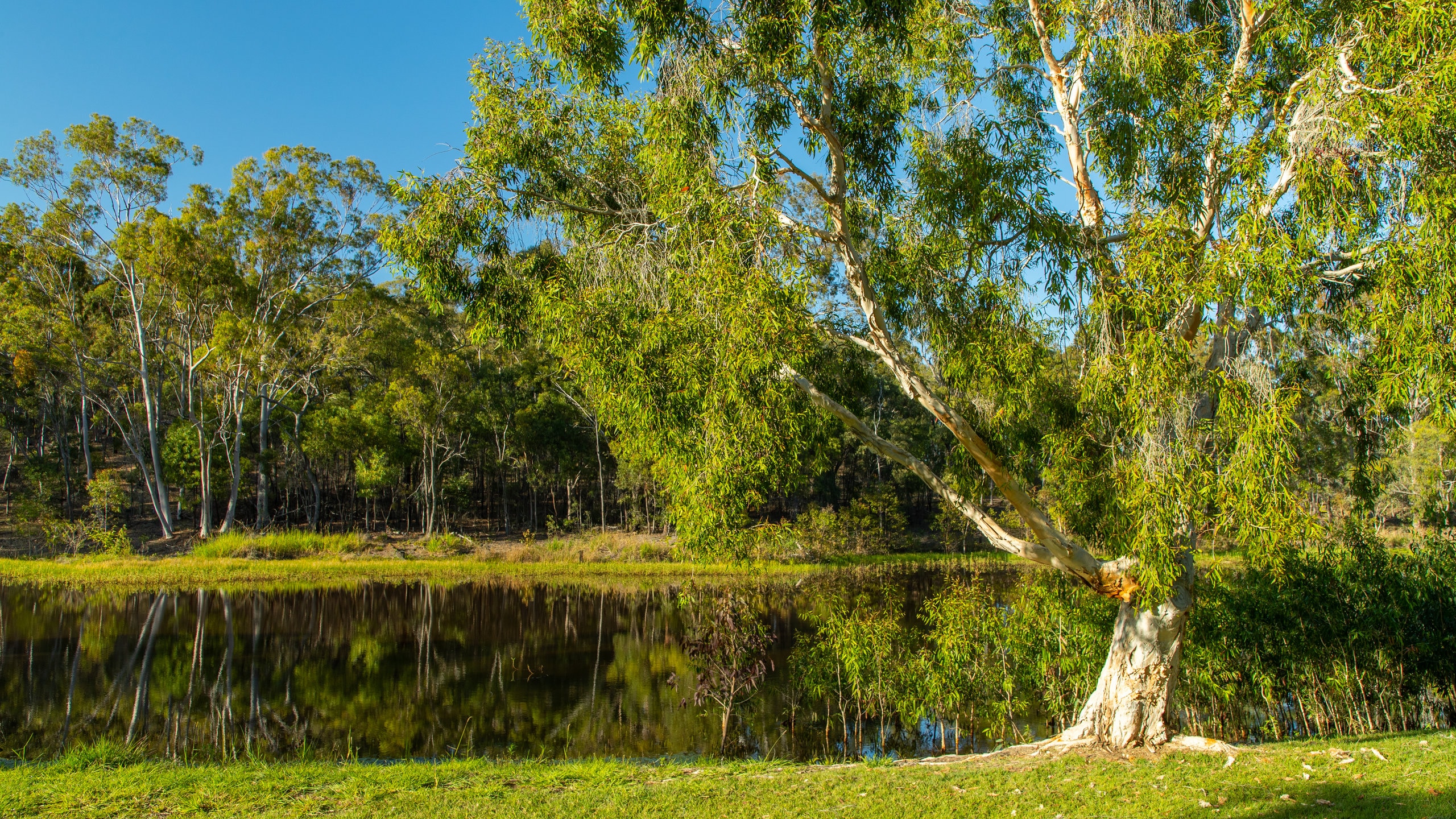 Visit Tannum Sands Best of Tannum Sands, Queensland Travel 2023