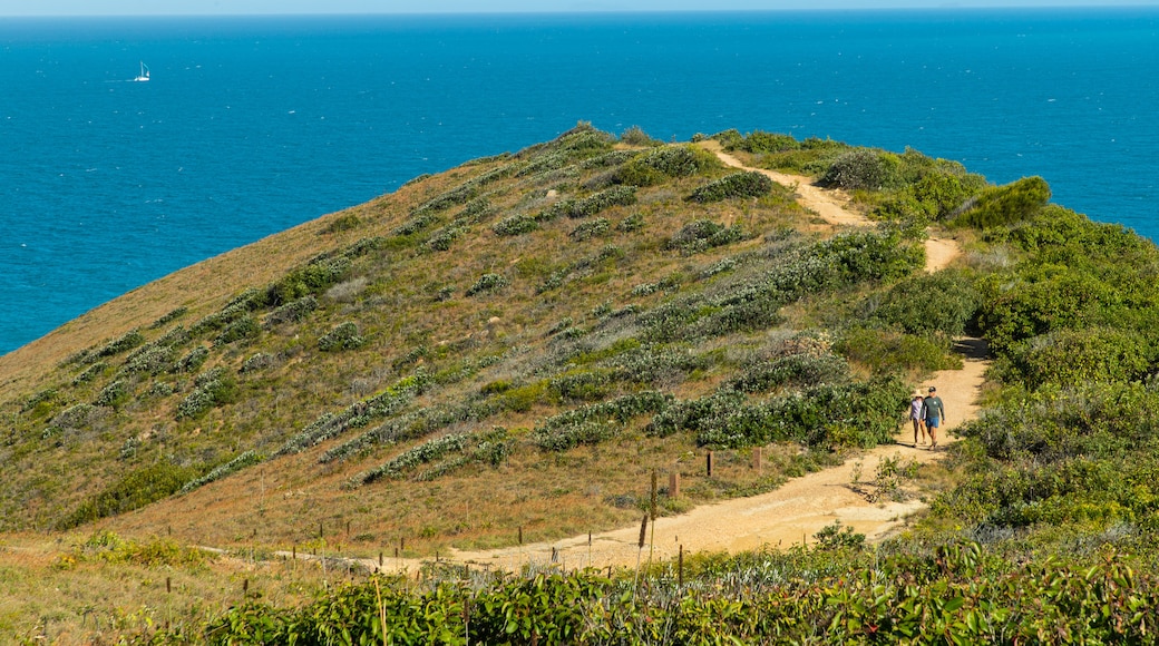 Parque nacional de Byfield