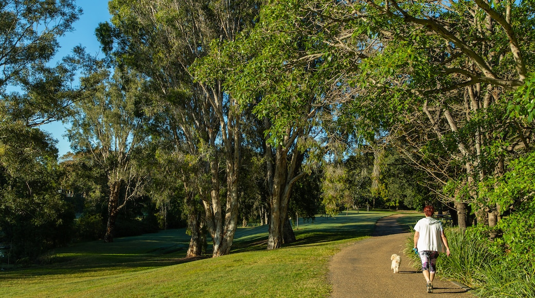 Kershaw Gardens