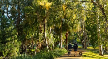 Kershaw Gardens which includes a garden as well as a couple