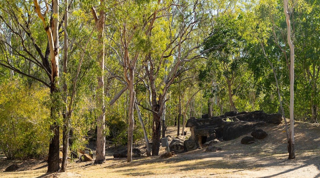 Aboriginal Dreamtime Cultural Centre