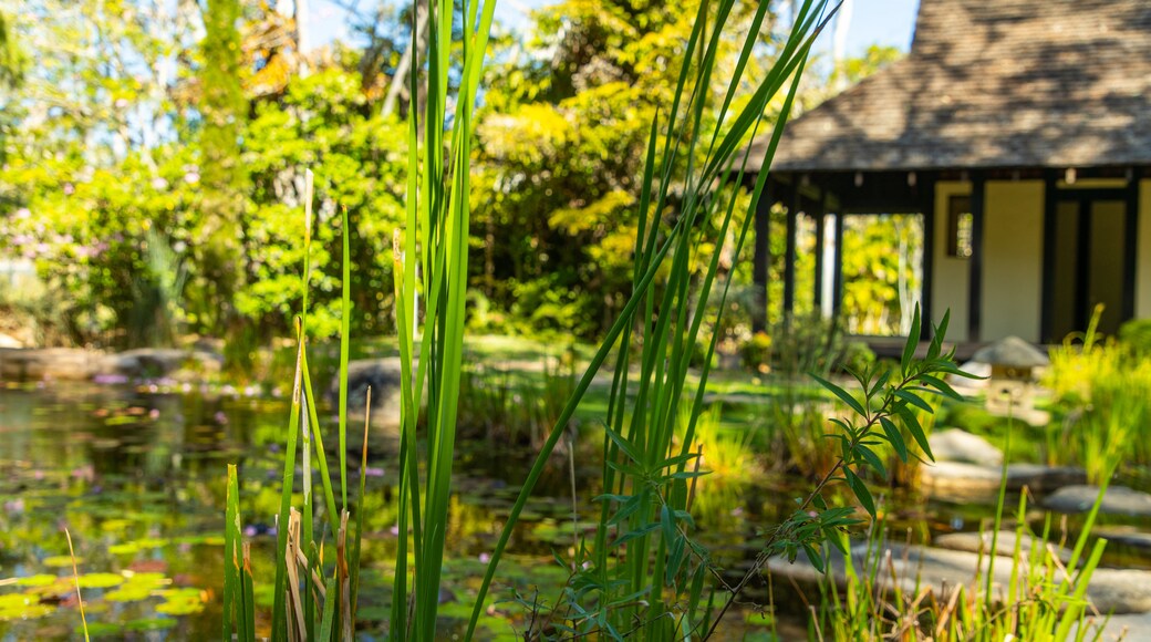 Jardins botaniques de Tondoon