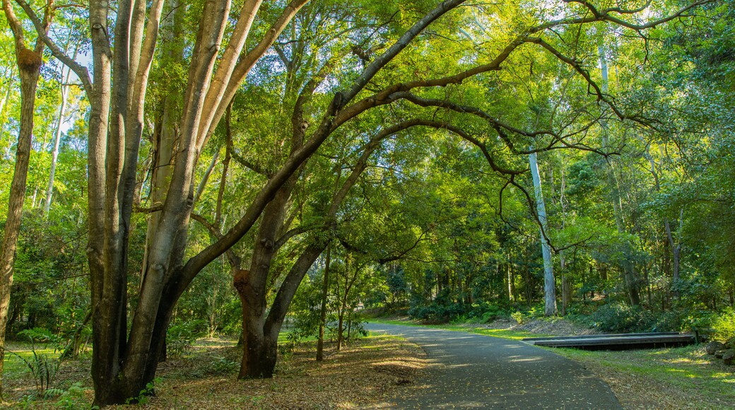 สวนพฤกษศาสตร์ Tondoon