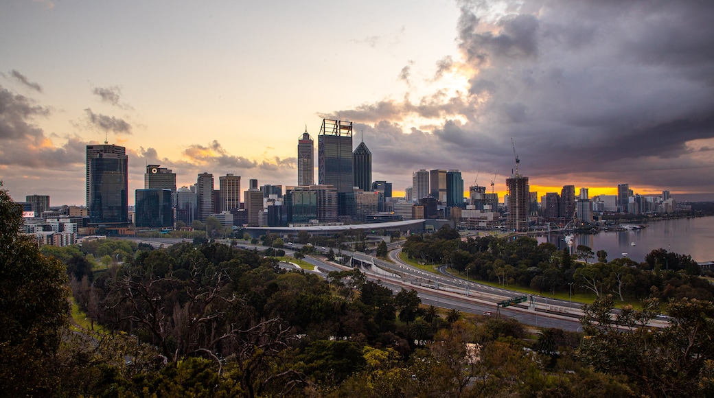 Kings Park and Botanic Garden