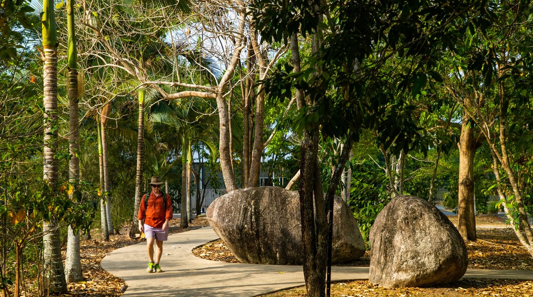 Mossman Gorge Center