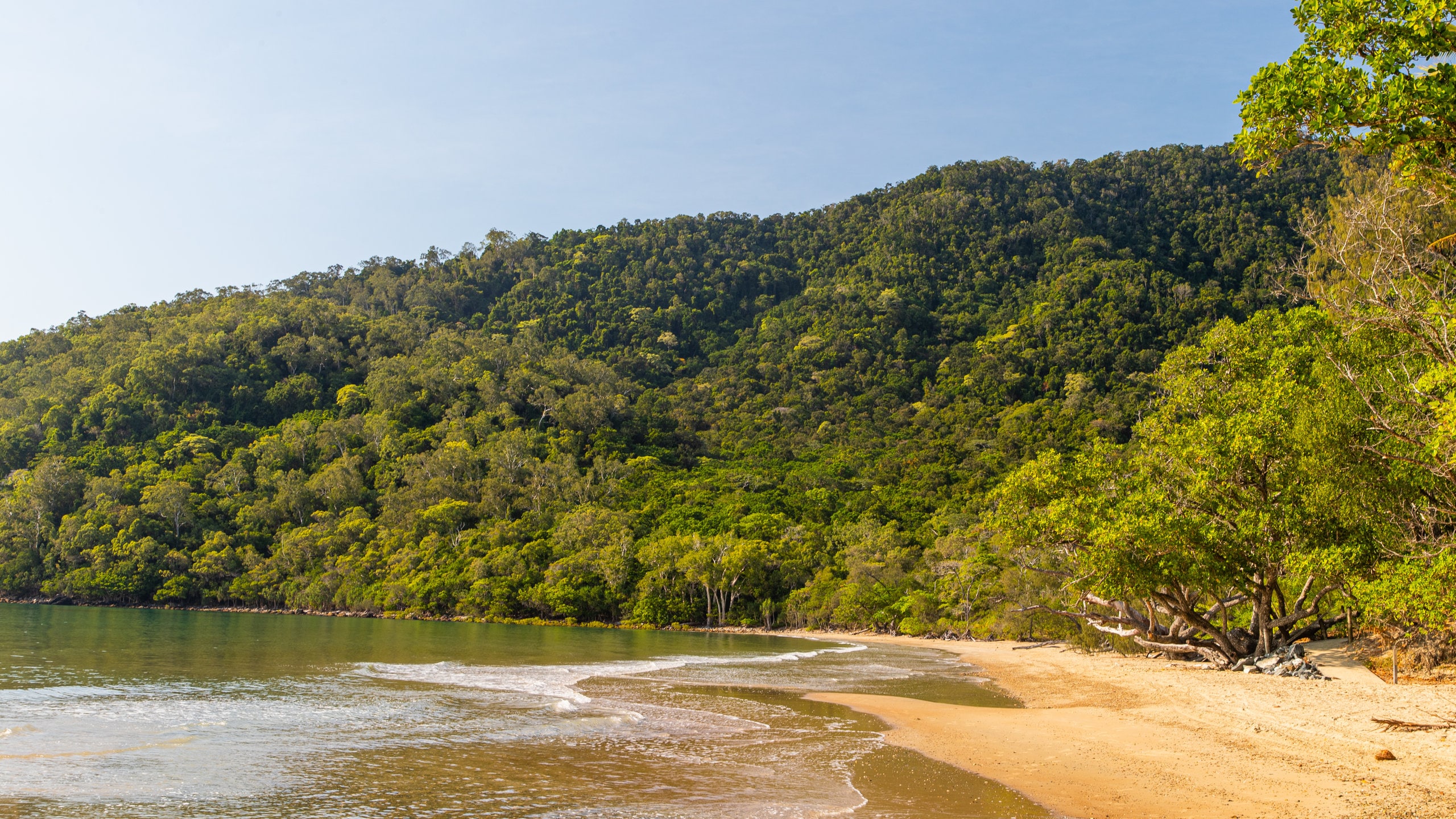 Cow Bay, QLD, AU Vacation Rentals house rentals & more Vrbo