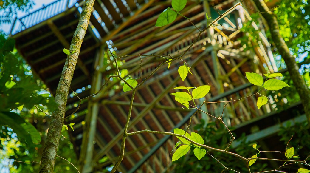 Daintree Discovery Centre