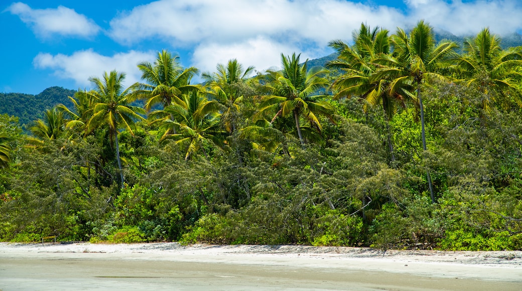 Cape Tribulation