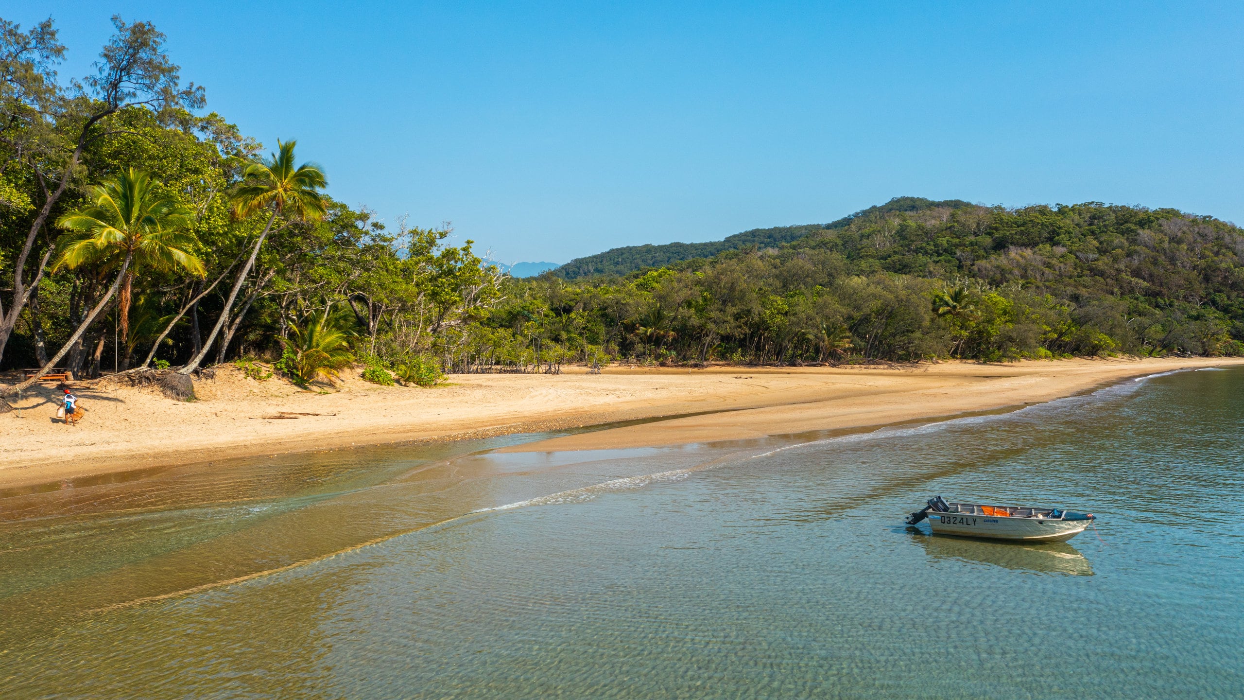 Visit Cow Bay 2024 Travel Guide for Cow Bay, Queensland Expedia