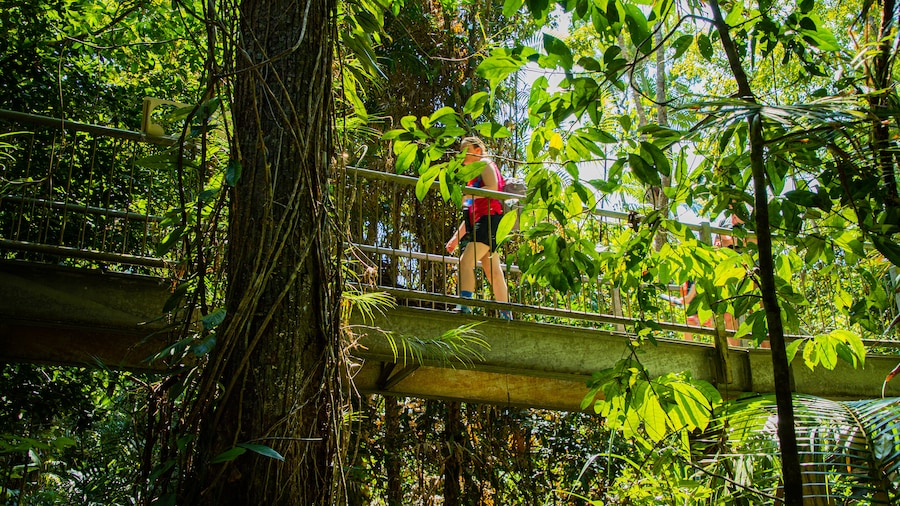 Daintree Discovery Centre