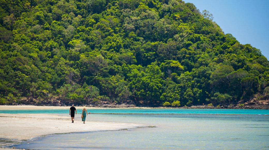 Cape Tribulation